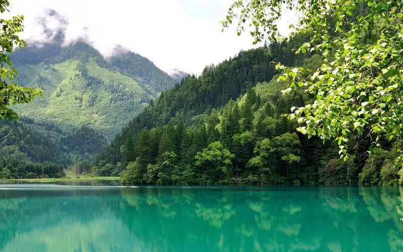 高性能高效高性能